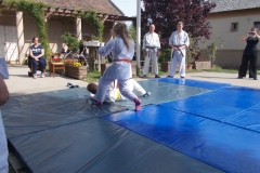 DSCN0013