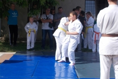 DSCN0043